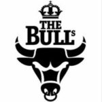The bulls logo