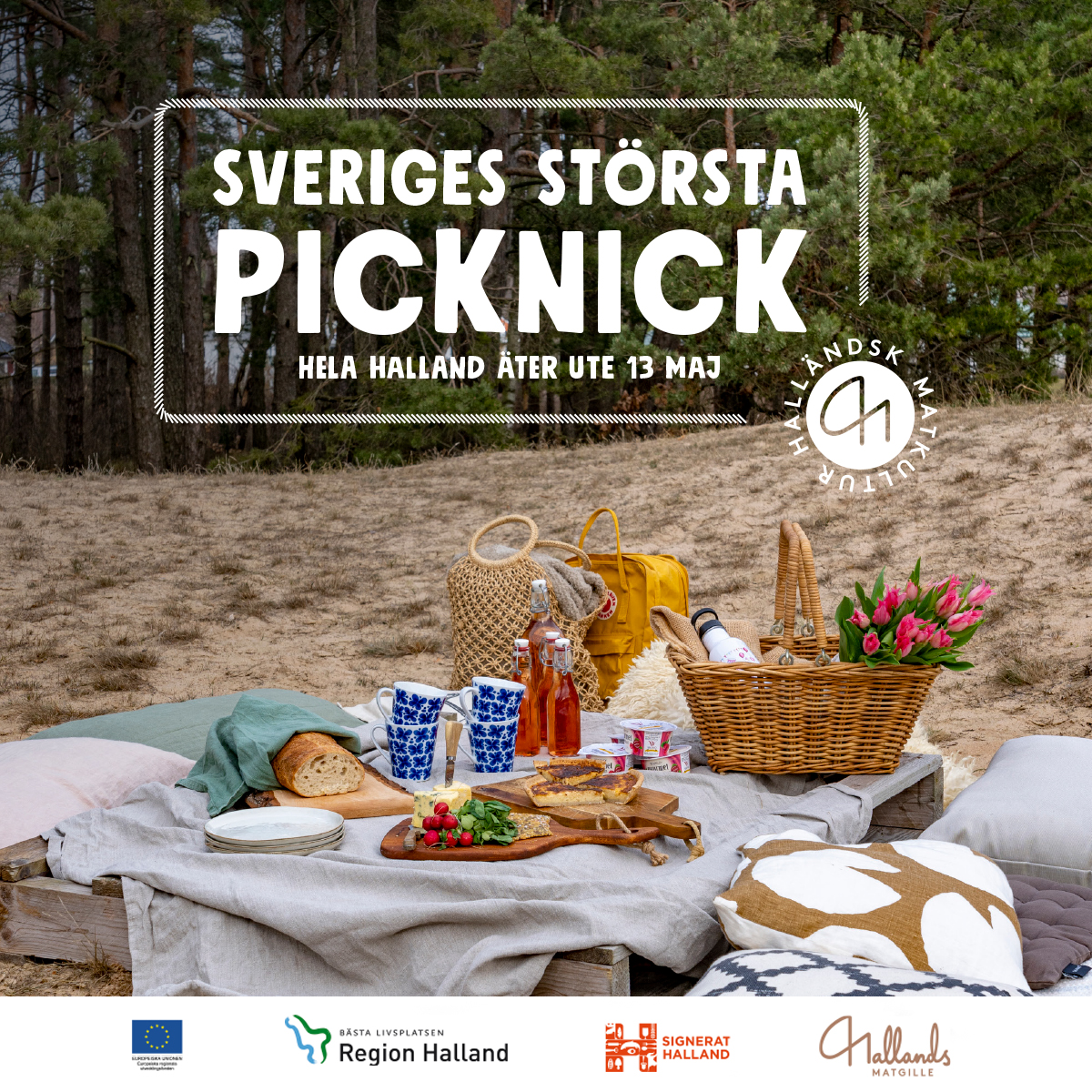 Hela Halland äter ute - Sveriges största picknick!