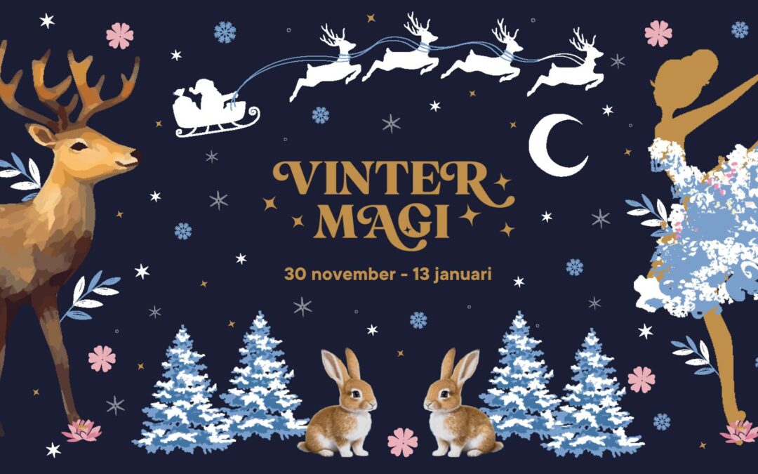 Vintermagi – en ljusvandring