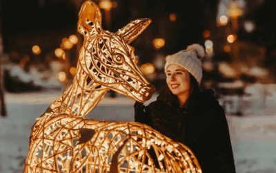 Vintermagi – en ljusvandring