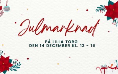Julmarknad på Lilla torg 2025