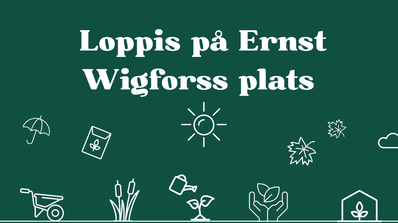 Loppis i Halmstad city