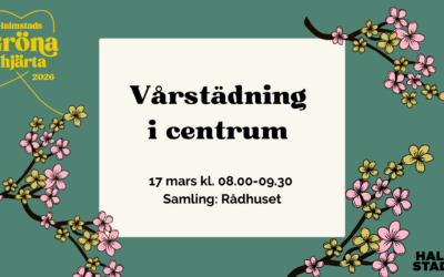 Vårstädning i Halmstad City