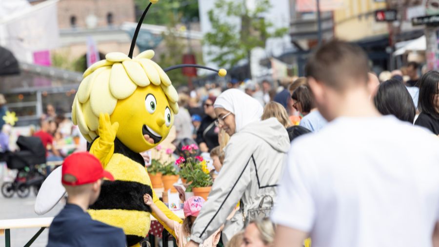 Sommarkalas i Halmstad City 2026
