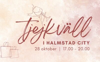 Tjejkväll i Halmstad city 2026